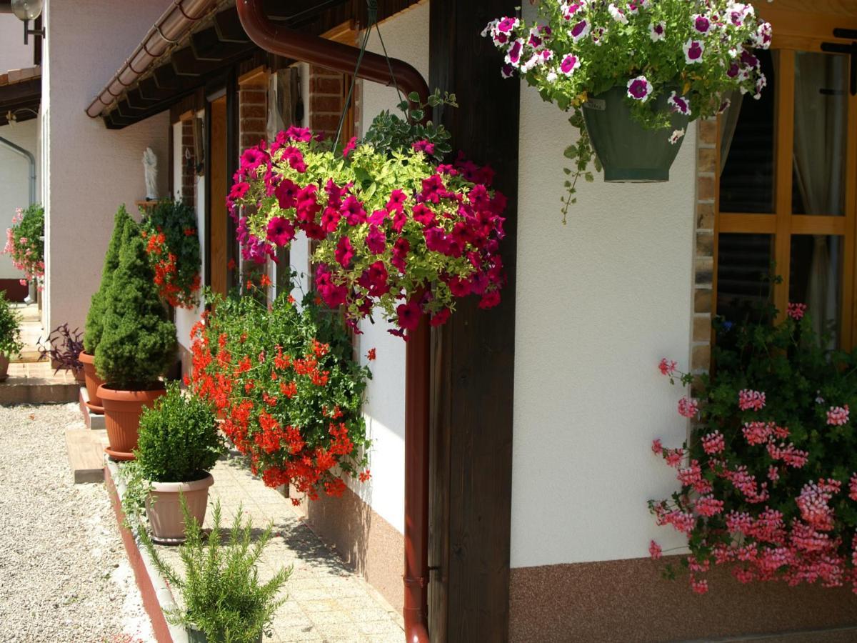 Bed & Breakfast Helena Bed and Breakfast Grabovac  Exterior foto
