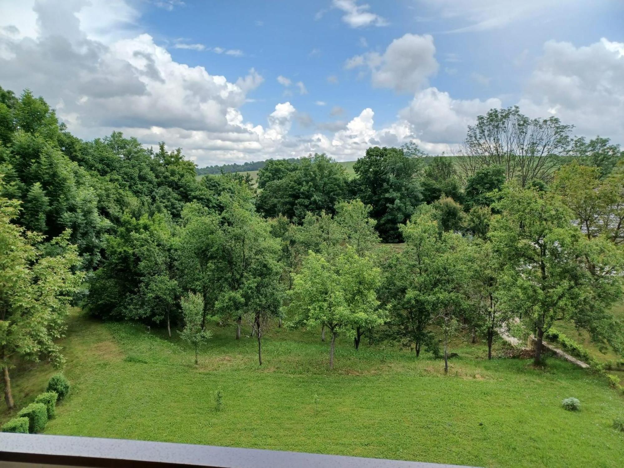 Bed & Breakfast Helena Bed and Breakfast Grabovac  Exterior foto